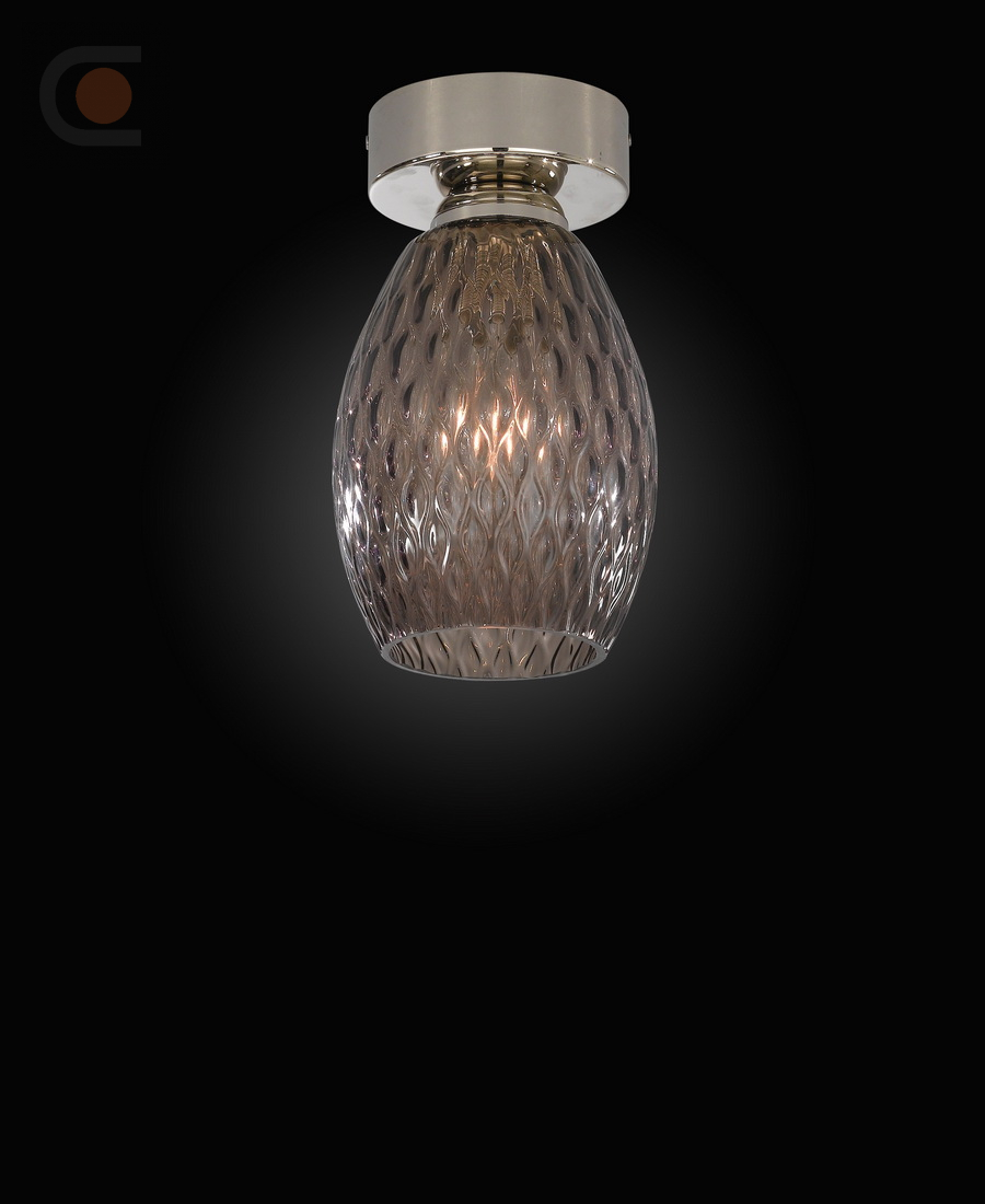PL 10007-1 b.jpg