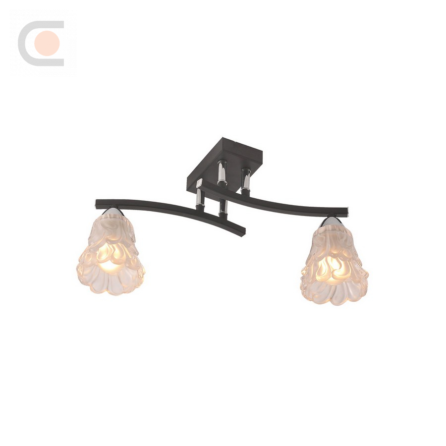 217_2PF-Blackchrome.jpg