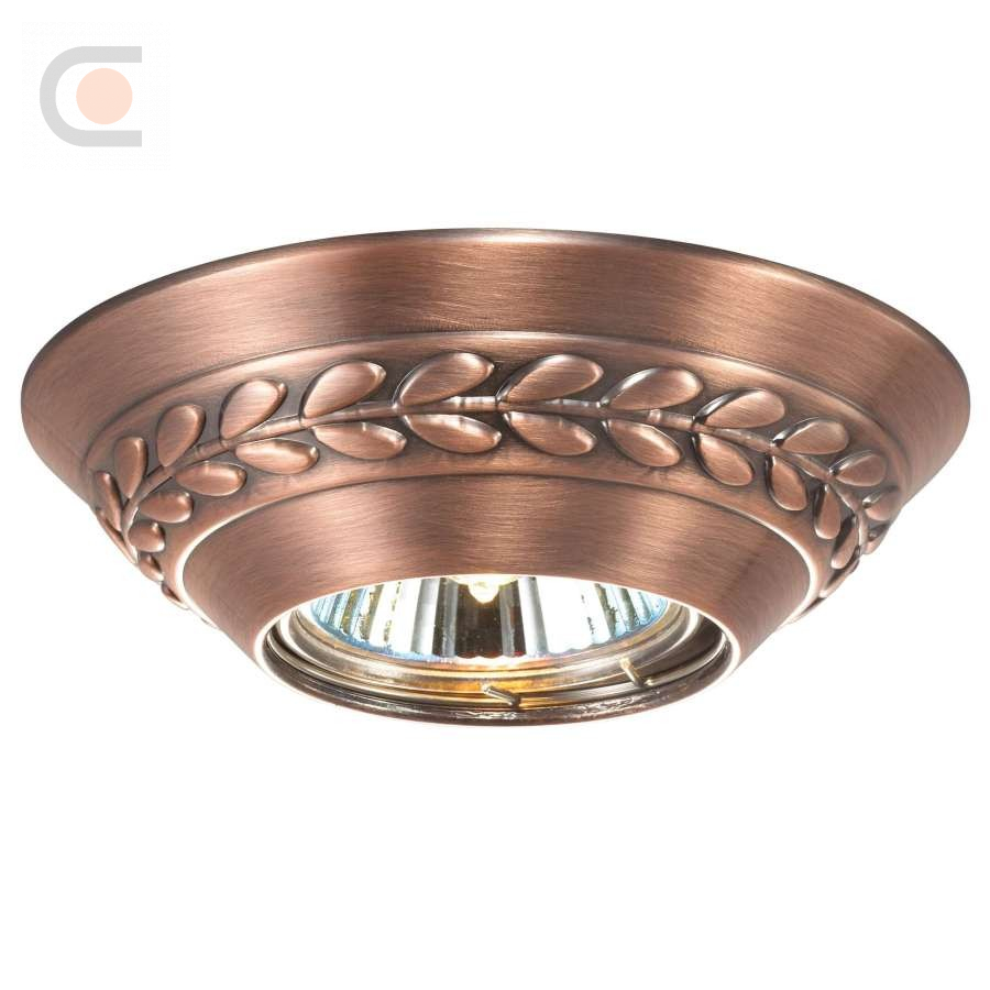 novotech-369665.jpg