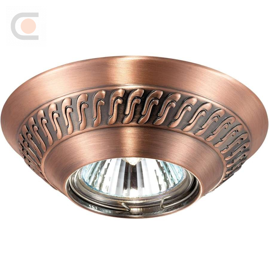 novotech-369659.jpg