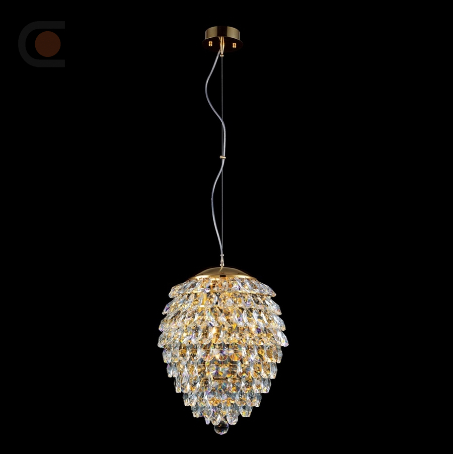 CHARME SP6 GOLD-TRANSPARENT.jpg