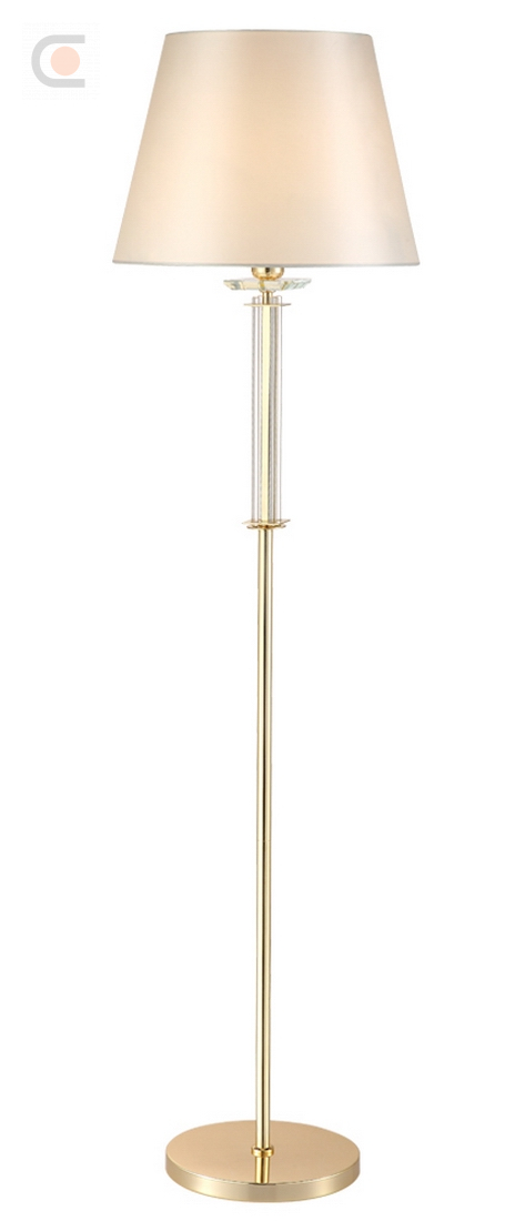NICOLAS PT1 GOLD-WHITE_2.jpg