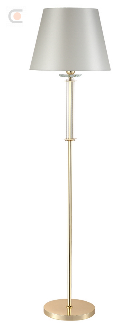 NICOLAS PT1 GOLD-WHITE.jpg