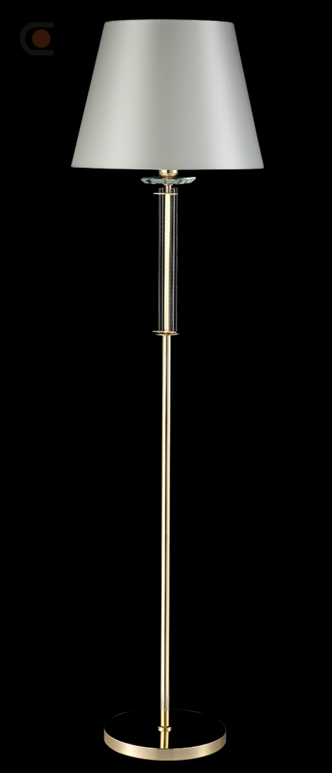 NICOLAS PT1 GOLD-WHITE_3.jpg