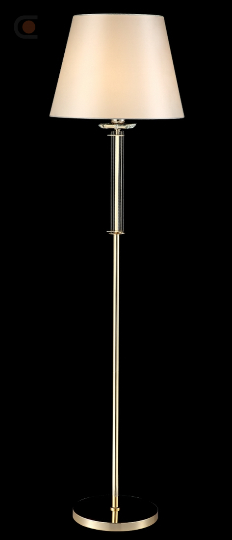 NICOLAS PT1 GOLD-WHITE_4.jpg
